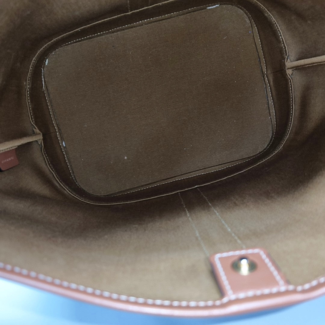 Authenticated pre-owned  TRIOMPHE CANVAS Medium Coated Canvas Brown - Bucket Bag at Looply