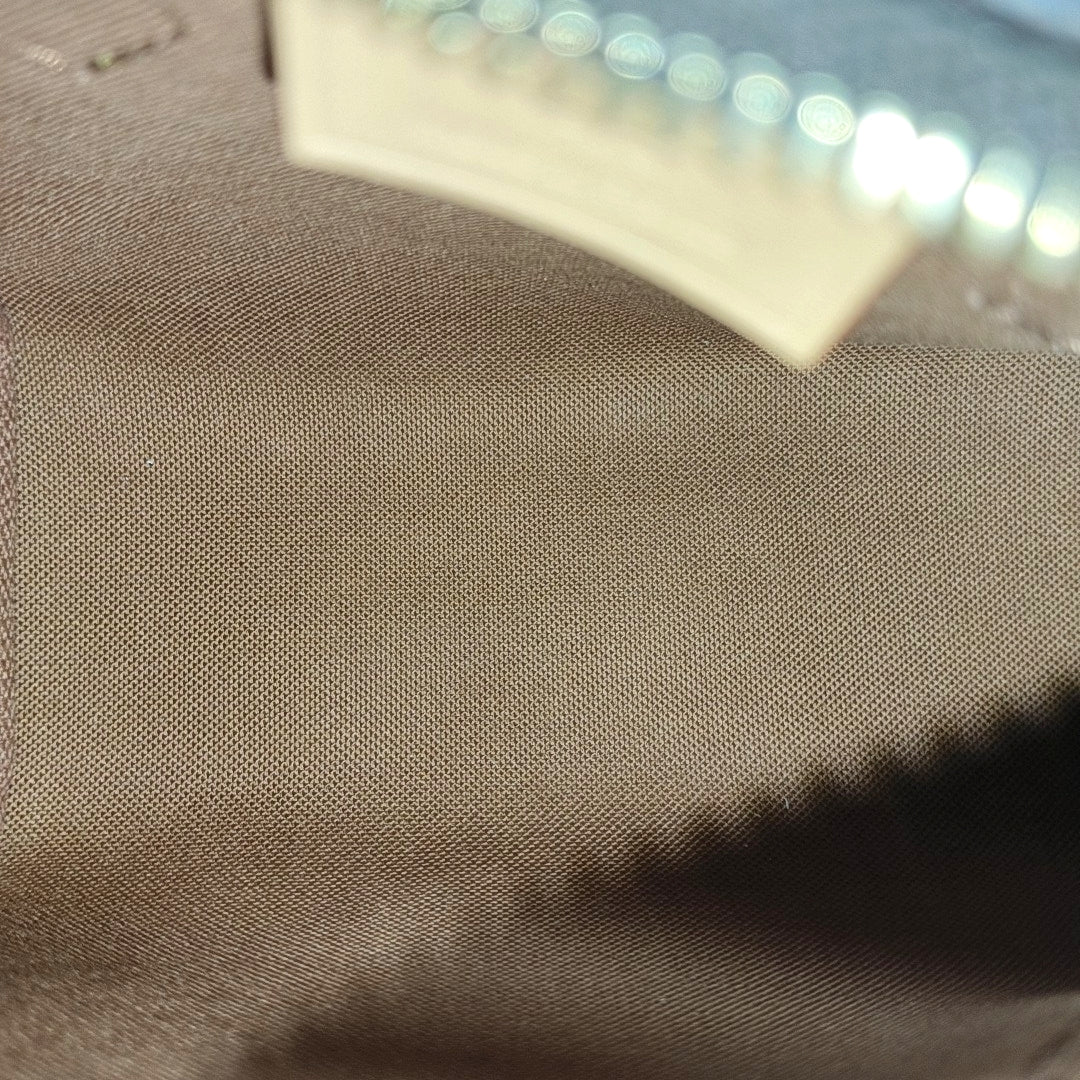 SPEEDY Nano Monogram Coated Canvas Brown