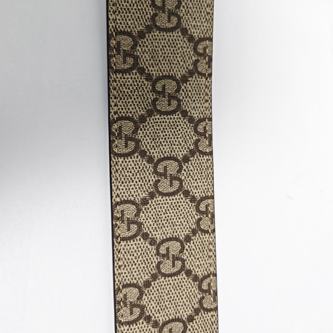 Coated Canvas Belt Beige