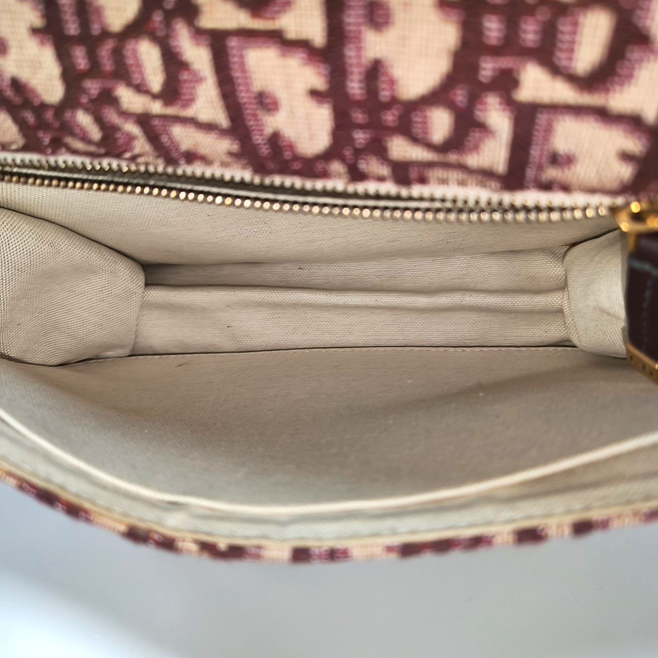 Dioraddict Oblique Canvas Red