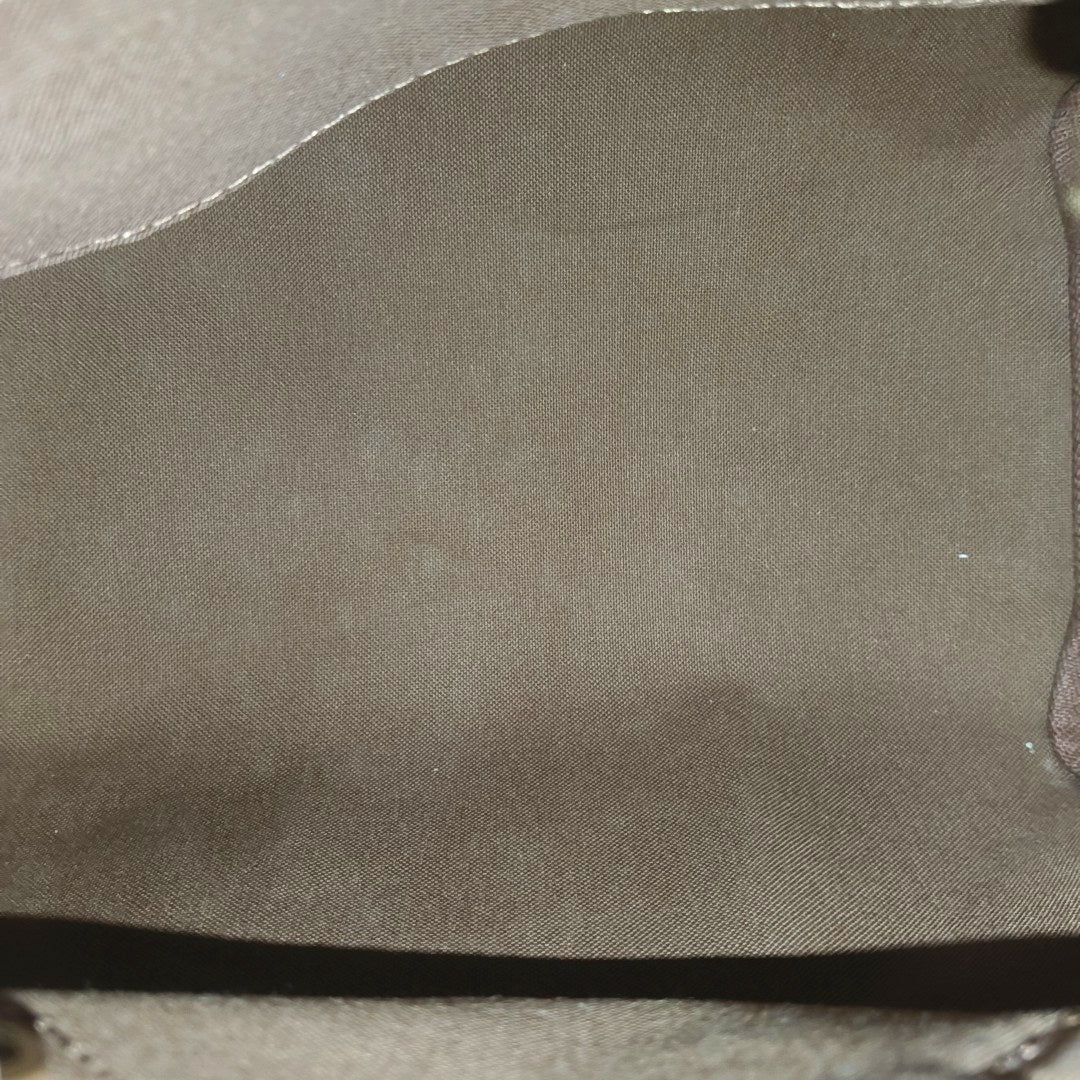 SPEEDY 25 Monogram Coated Canvas Brown