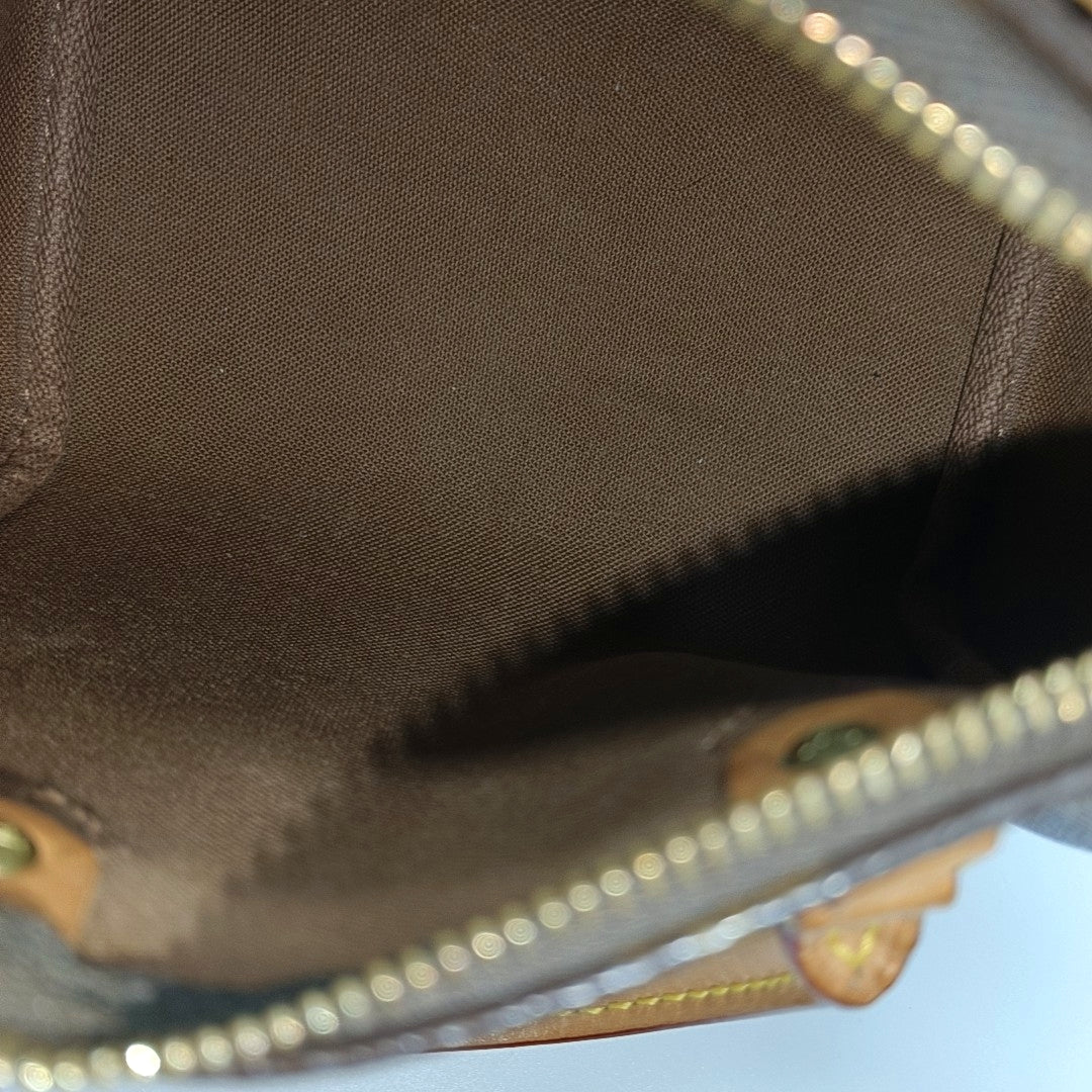 SPEEDY Nano Monogram Coated Canvas Brown