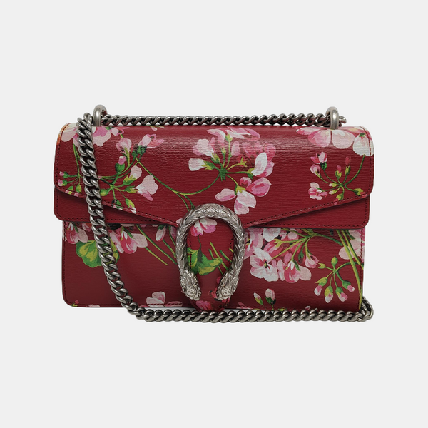 Dionysus Small Calfskin Red