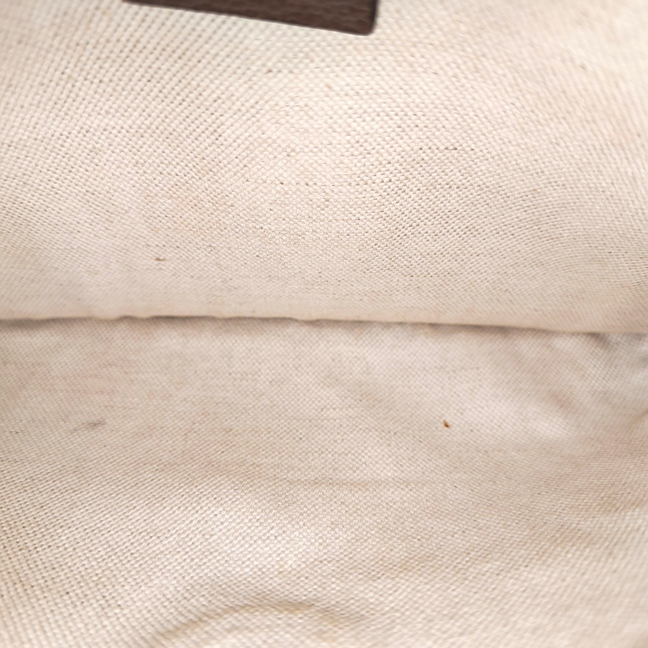 Neo Vintage Monogram Coated Canvas Beige