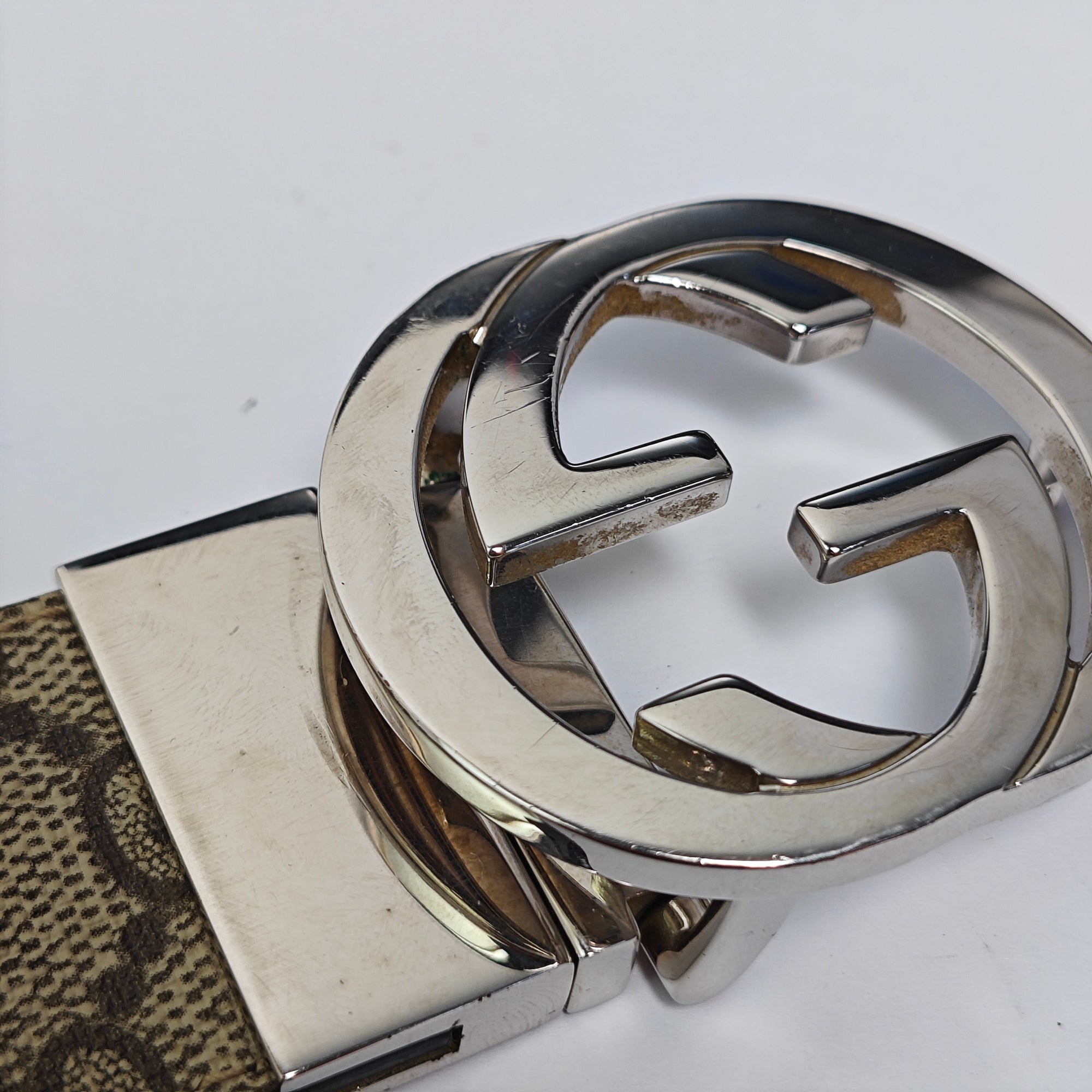 Coated Canvas Belt Beige