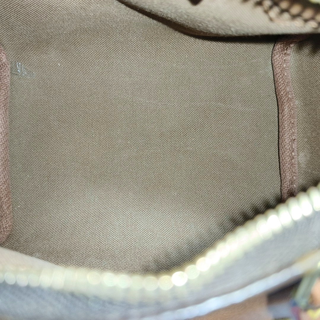 SPEEDY Nano Monogram Coated Canvas Brown