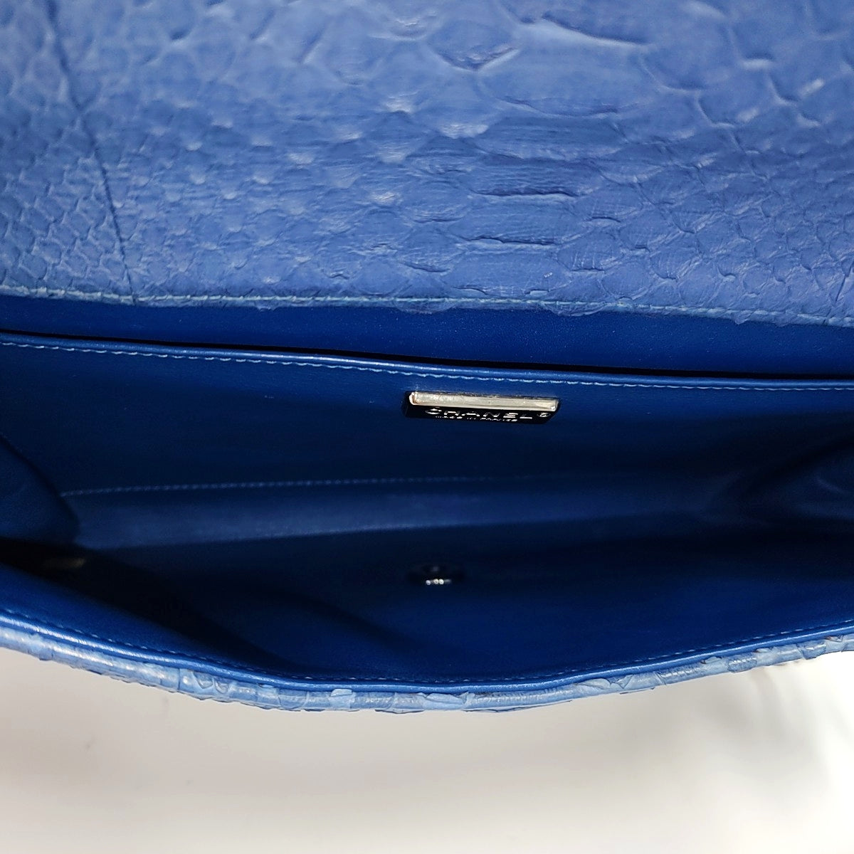 Python Blue