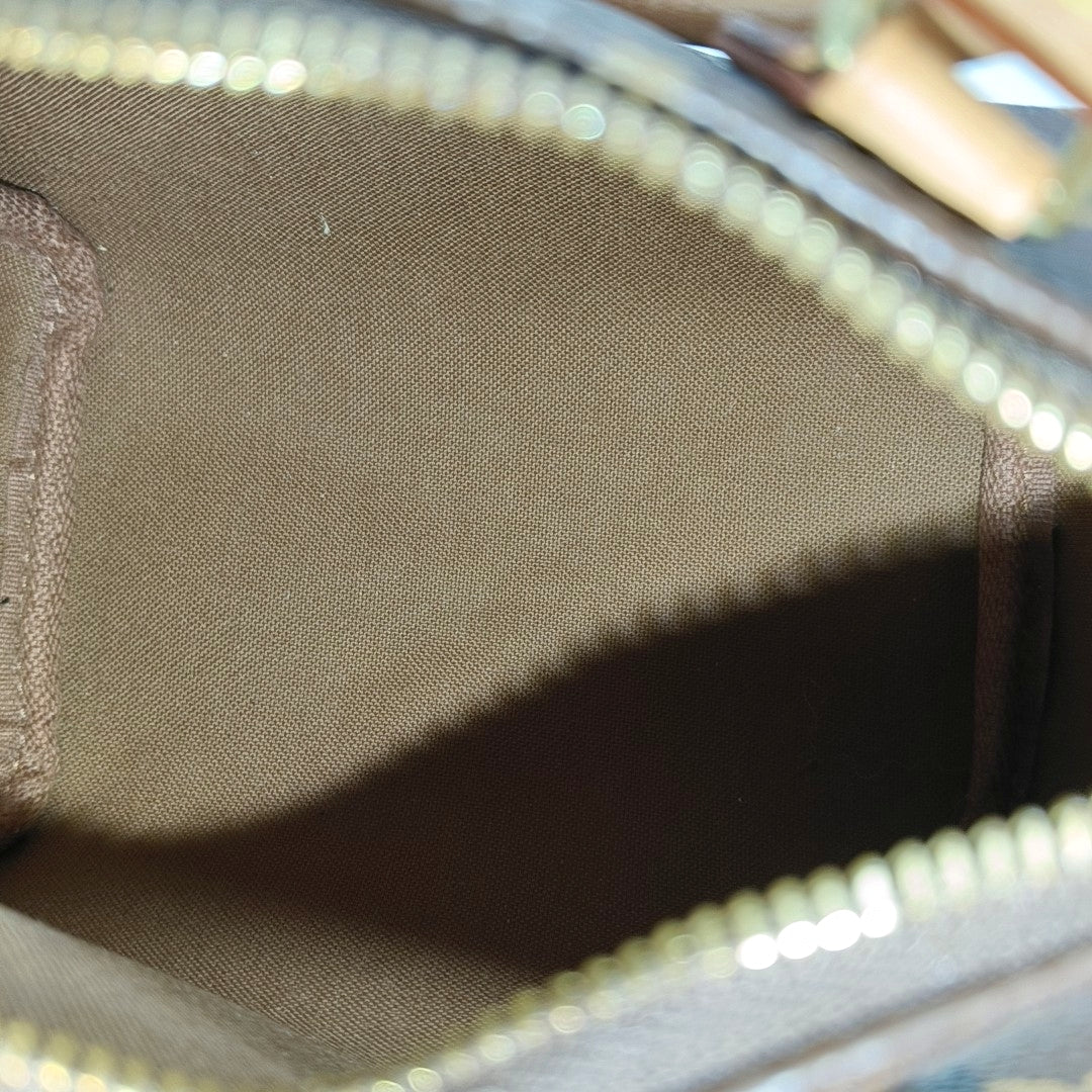 SPEEDY Nano Monogram Coated Canvas Brown