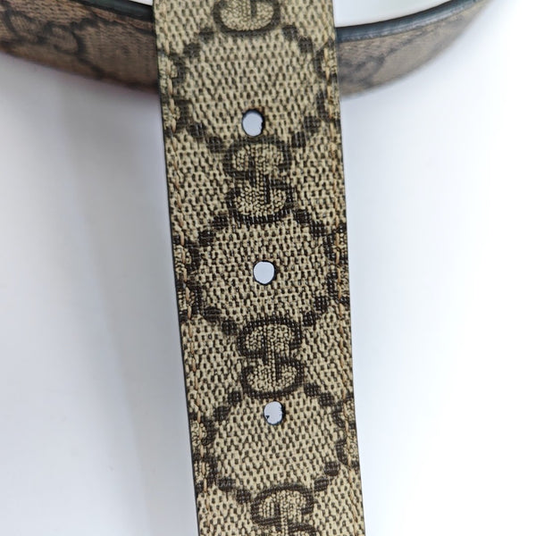 Coated Canvas Belt Brown