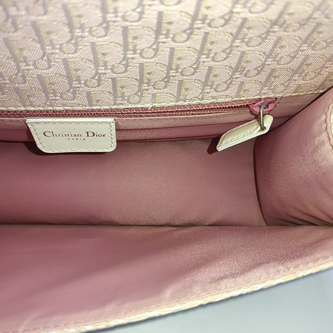 Oblique Canvas Pink