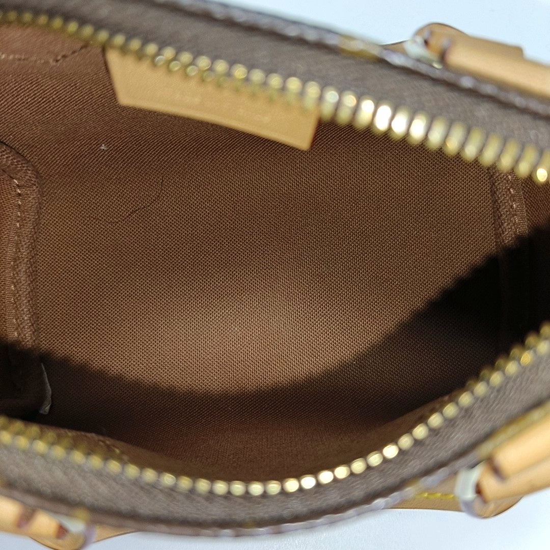 SPEEDY Nano Monogram Coated Canvas Brown