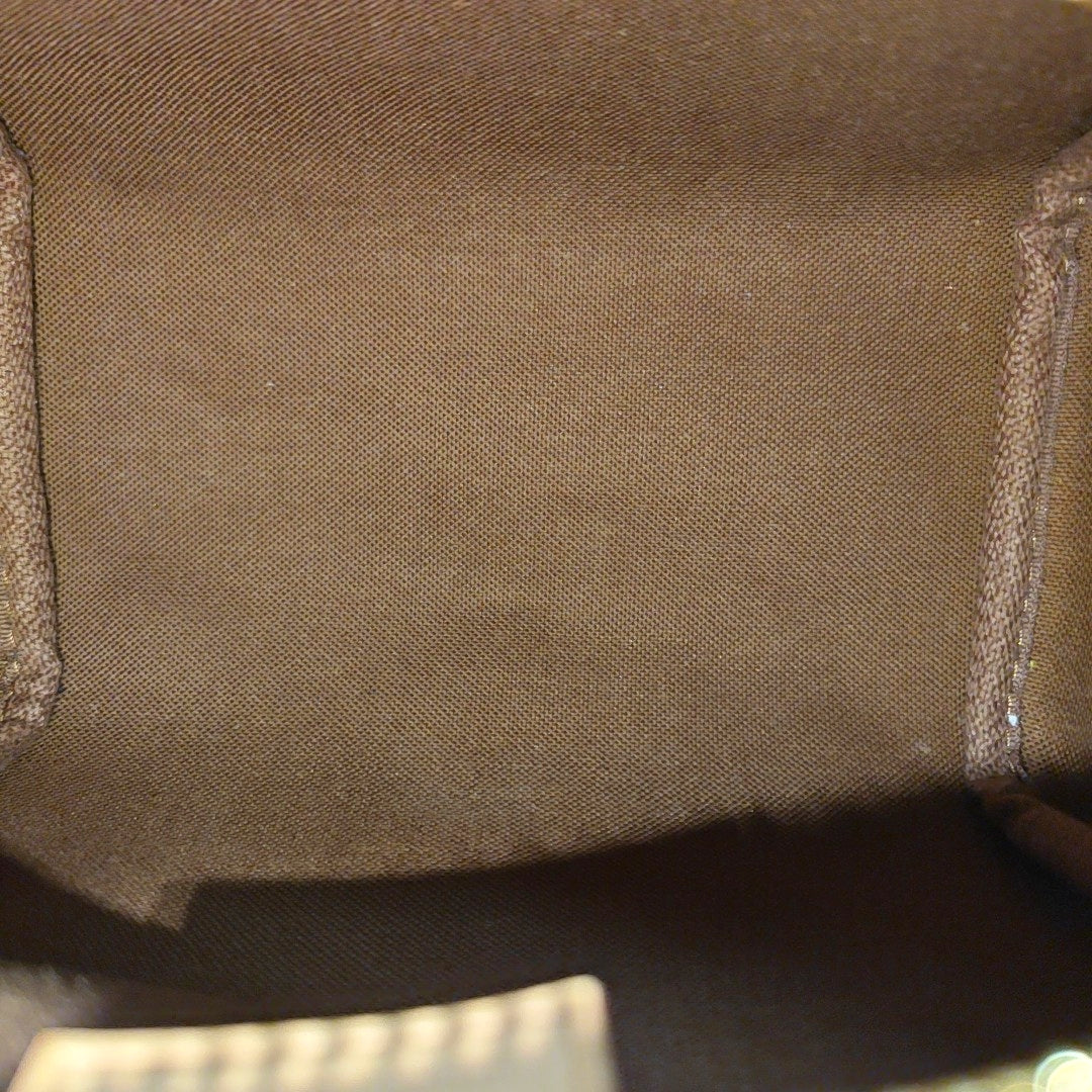 SPEEDY Nano Monogram Coated Canvas Brown