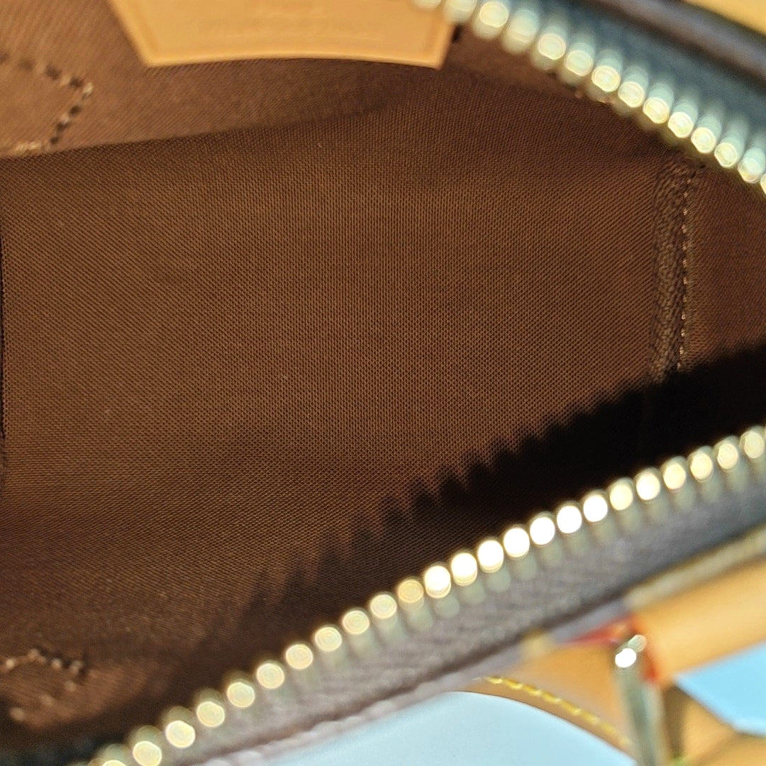SPEEDY Nano Monogram Coated Canvas Brown