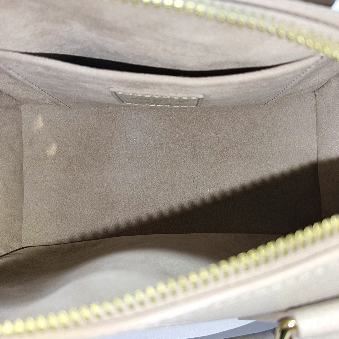 SPEEDY 20 Monogram Calfskin Gray
