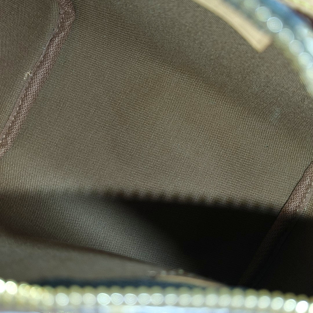 SPEEDY Nano Monogram Coated Canvas Brown