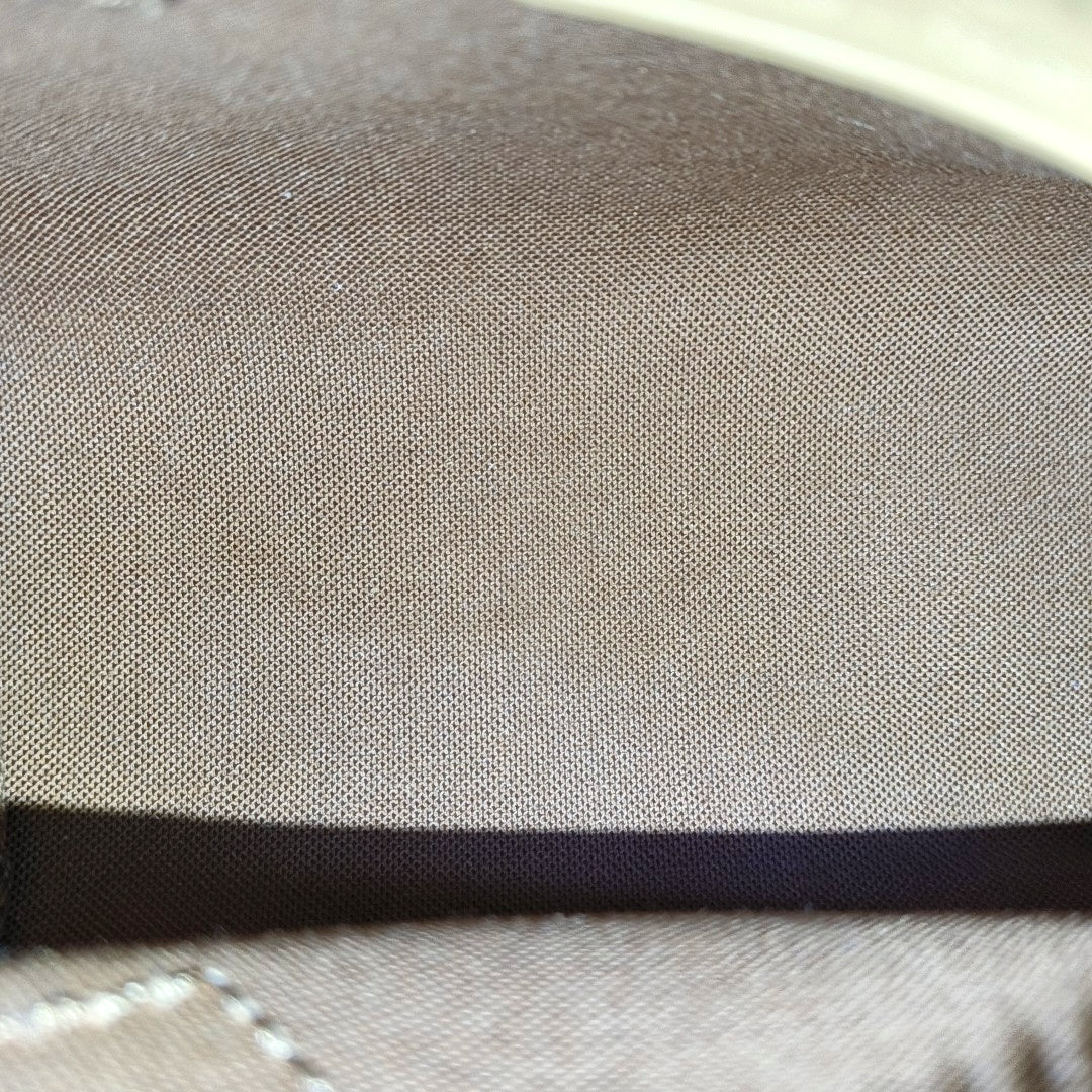 SPEEDY Nano Monogram Coated Canvas Brown