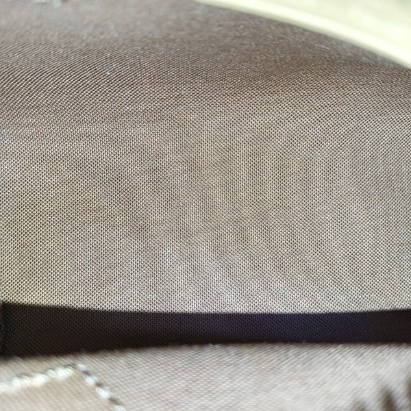 SPEEDY Nano Monogram Coated Canvas Brown