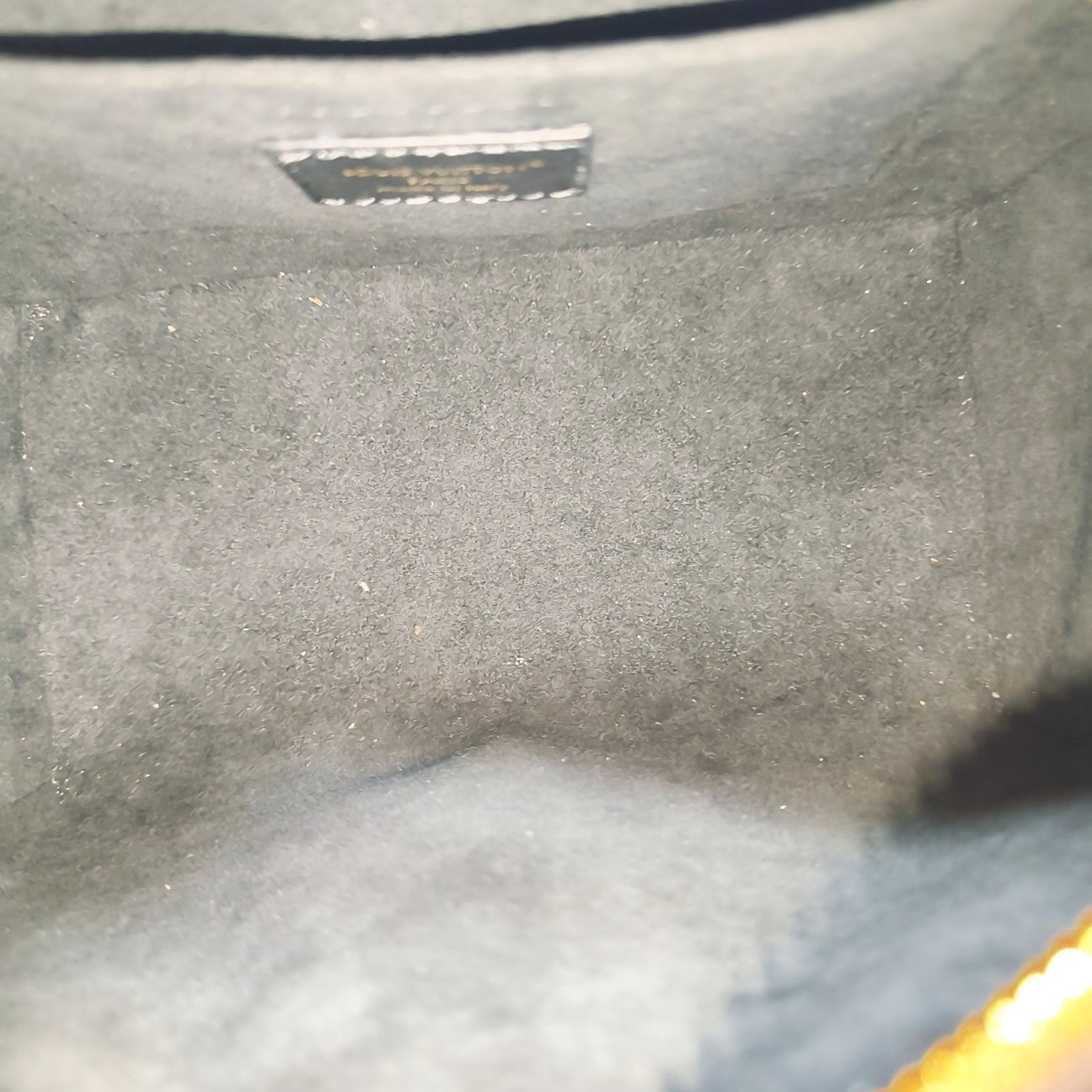 SPEEDY TRUNK 20 Monogram Coated Canvas Brown