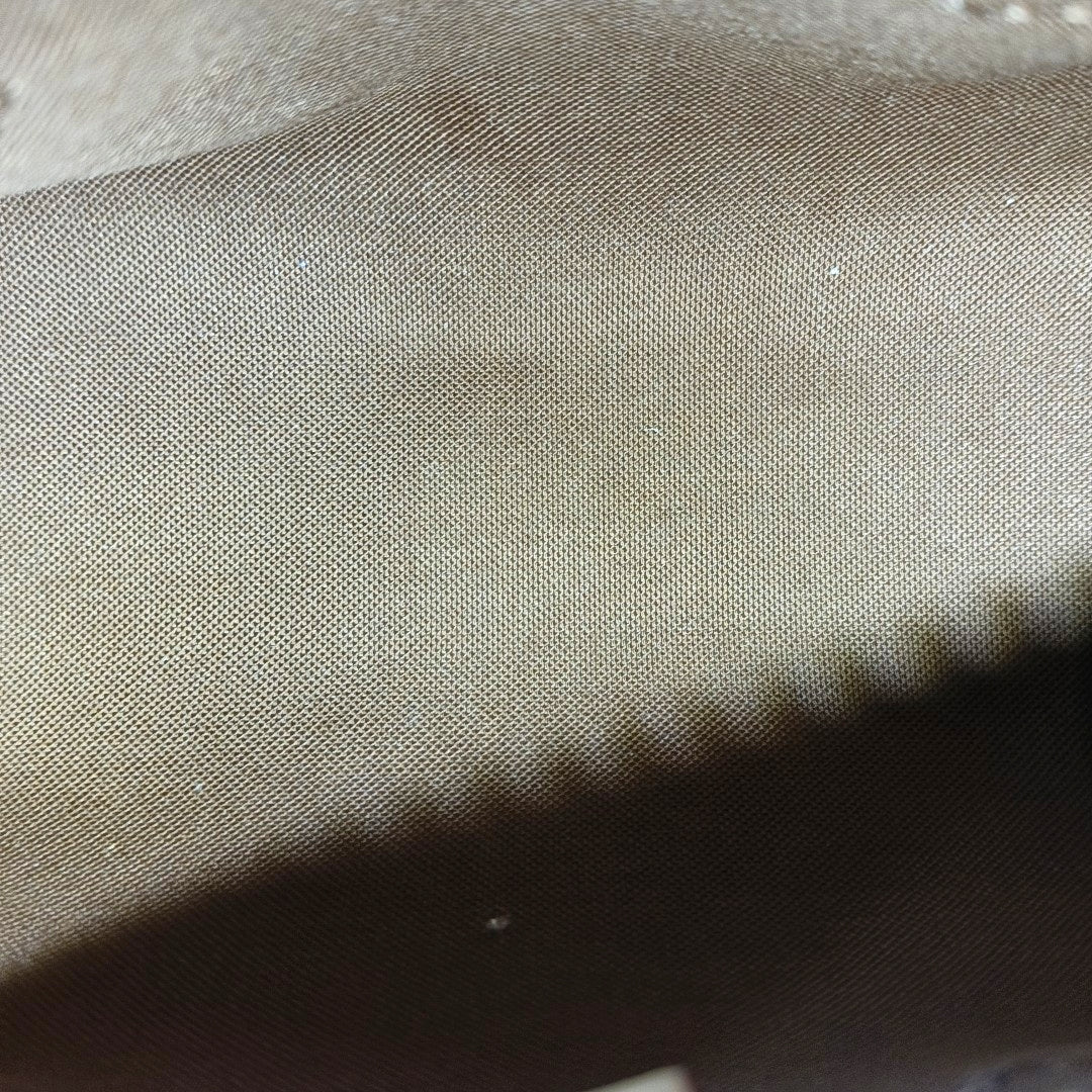 SPEEDY Nano Monogram Coated Canvas Brown