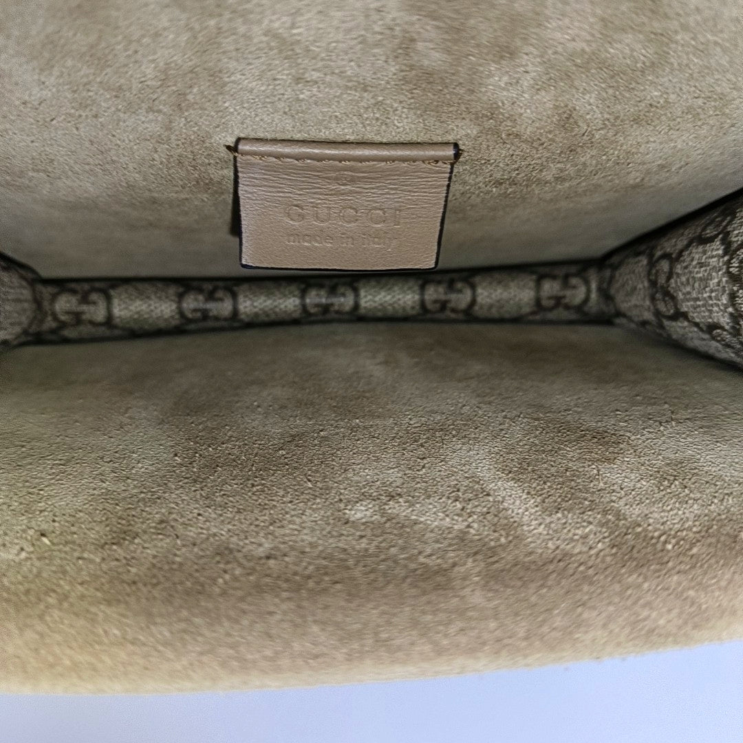 Dionysus Mini Monogram Coated Canvas Beige
