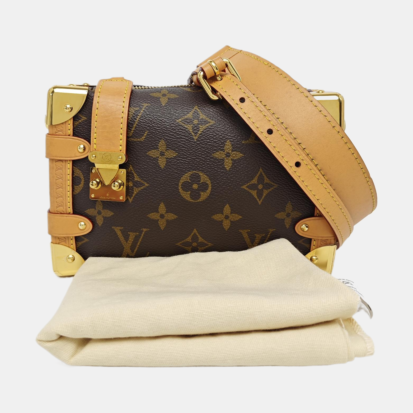 SIDE TRUNK PM Monogram Coated Canvas Brown