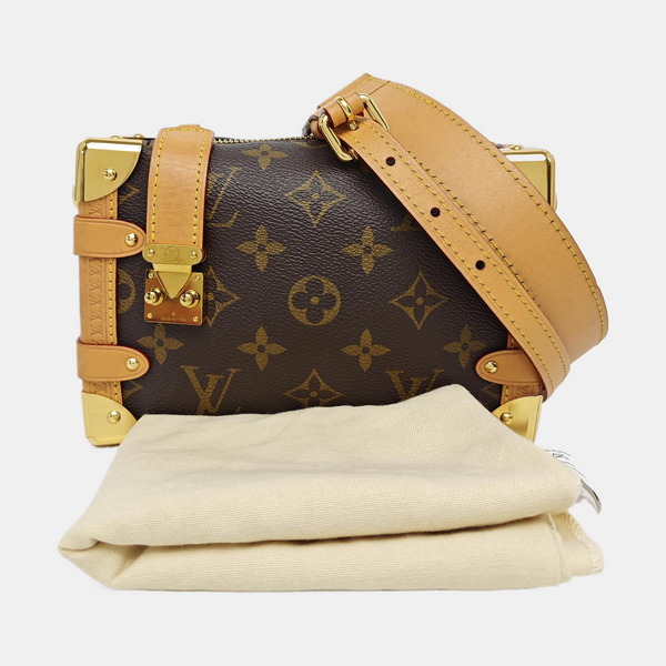 SIDE TRUNK PM Monogram Coated Canvas Brown