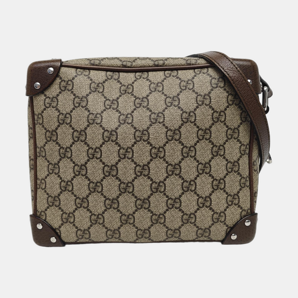 Trunk Monogram Coated Canvas Brown