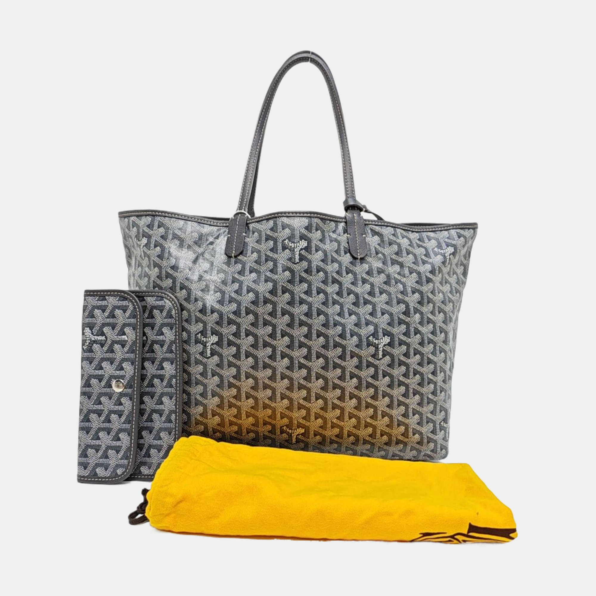 Saint Louis PM Coated Canvas Gray