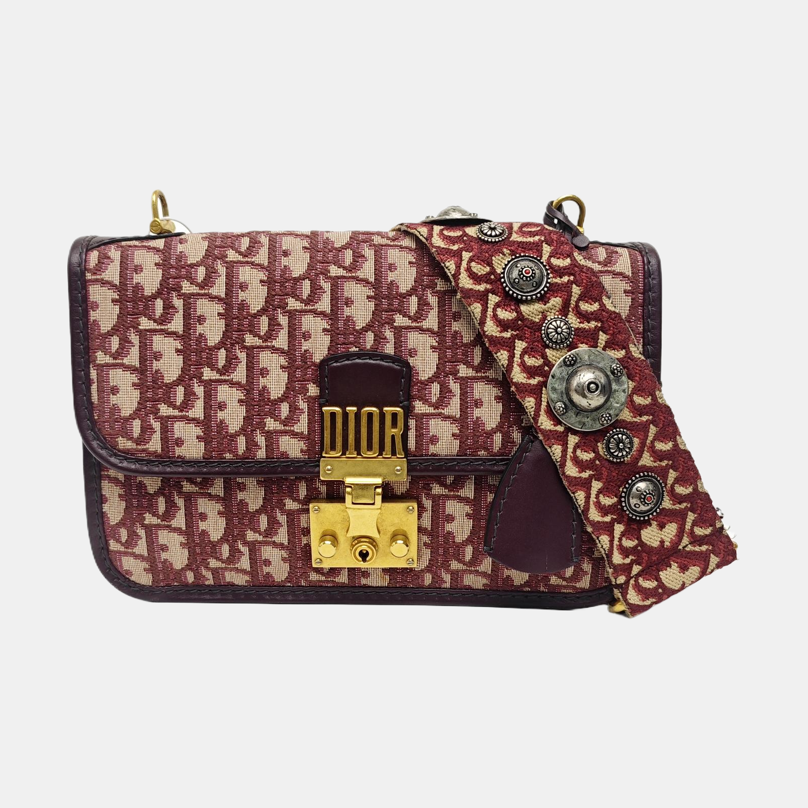 Dioraddict Oblique Canvas Red