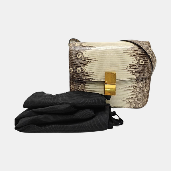 CLASSIC BOX Small Lizard Multicolor