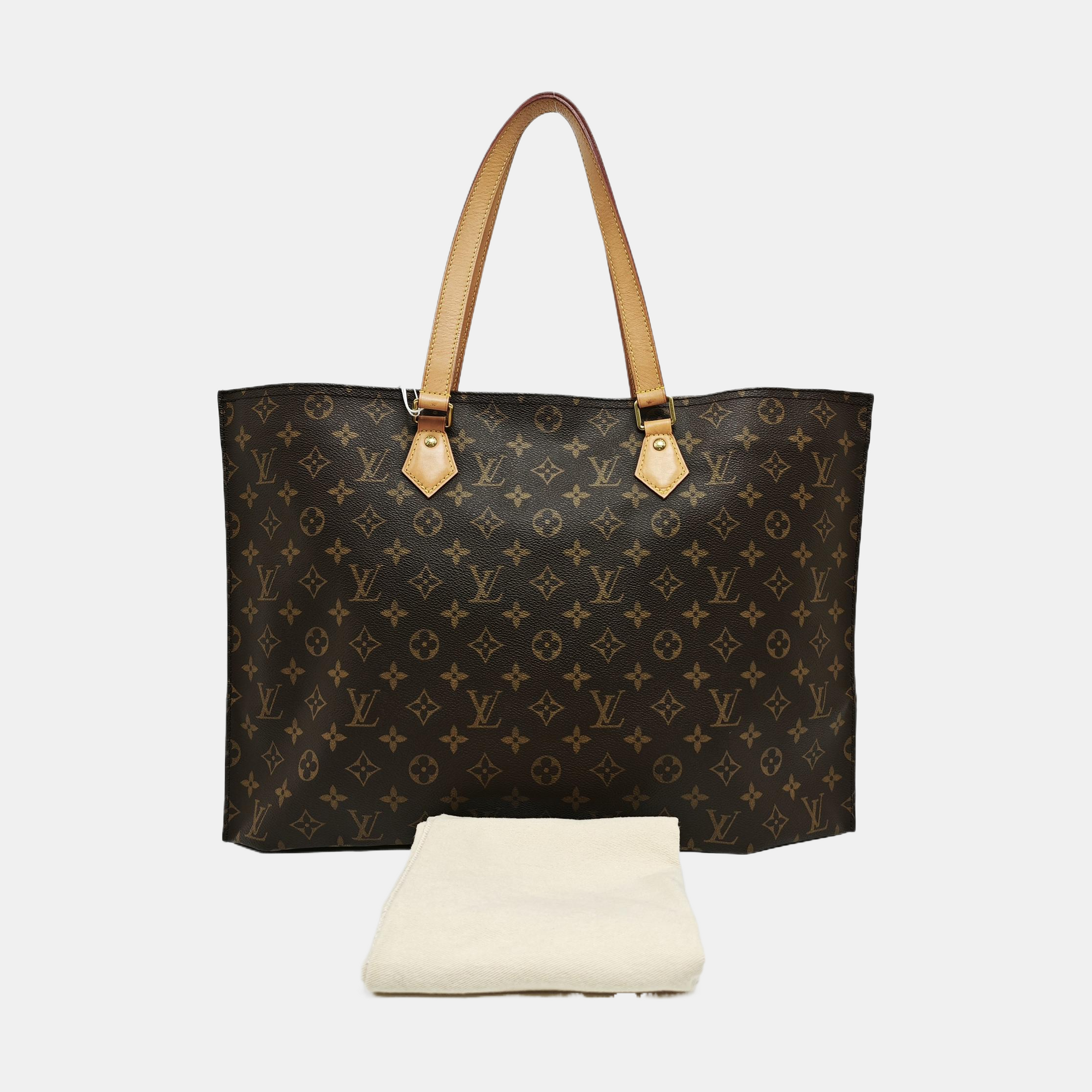 ALL-IN PM Monogram Coated Canvas Brown