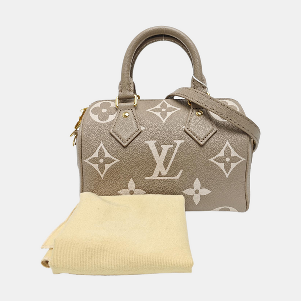 SPEEDY 20 Monogram Calfskin Gray
