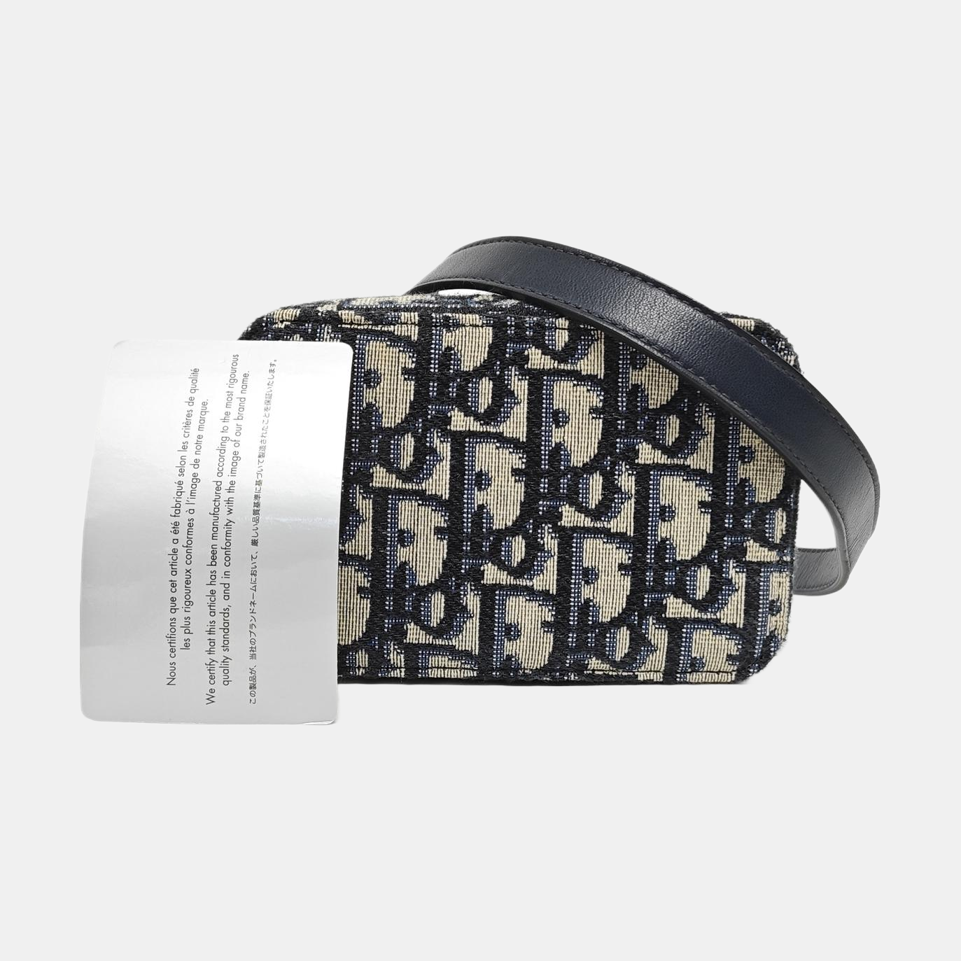 Oblique Canvas Belt Bag Beige