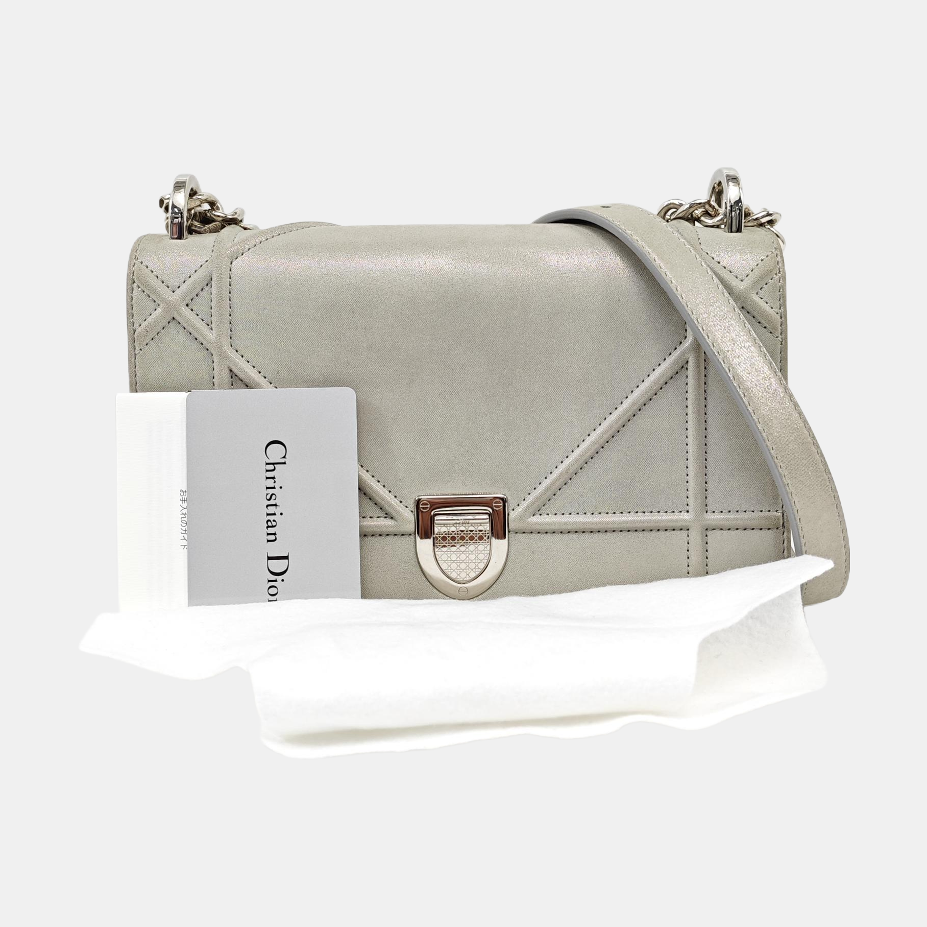Diorama Small Cannage Calfskin Silver