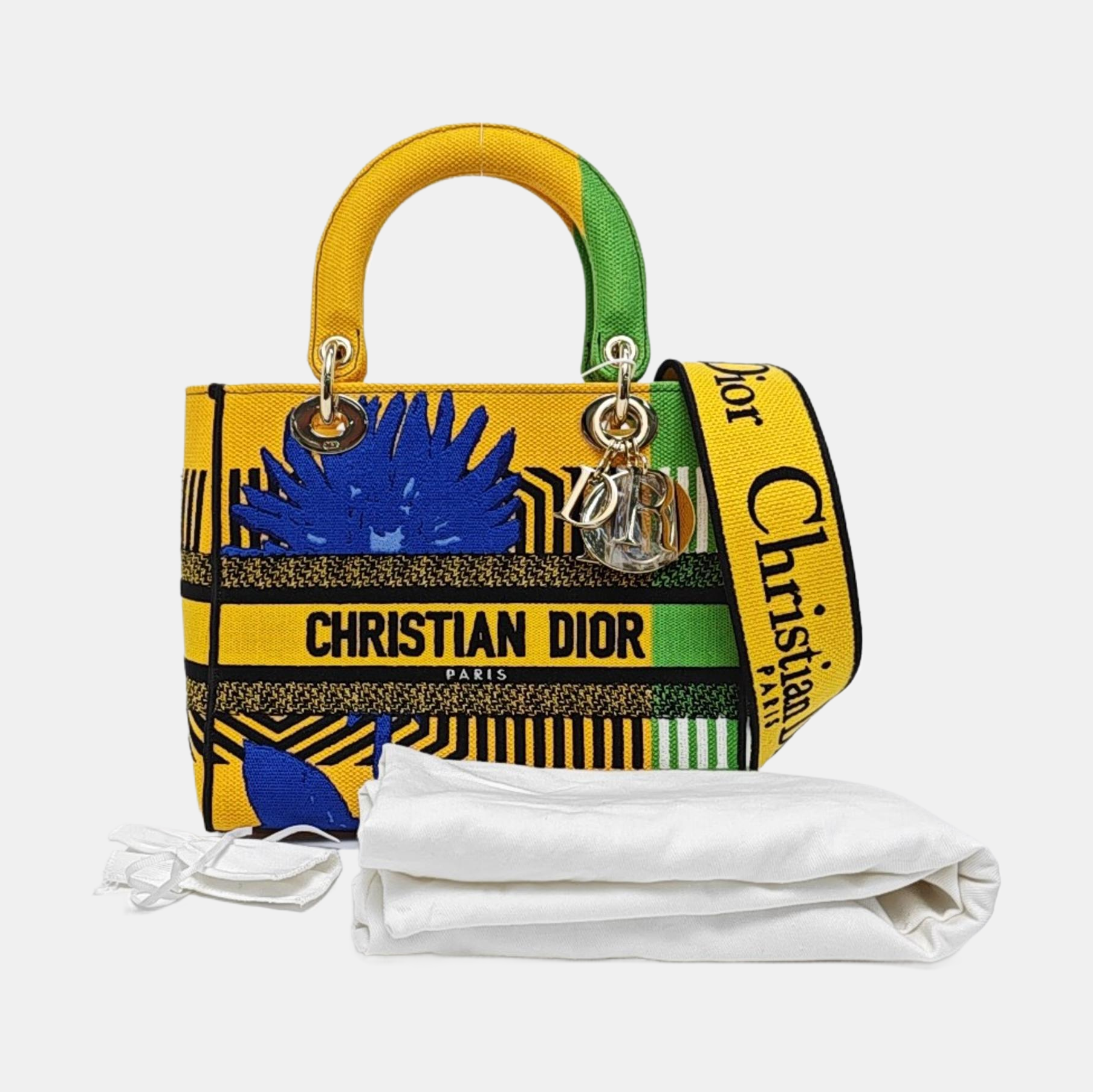 Authenticated pre-owned  Lady D-Lite Medium Fabric Multicolor - Tote Bag at Looply