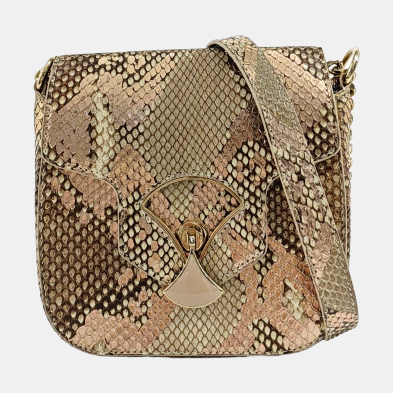 DIVAS' DREAM Python Multicolor