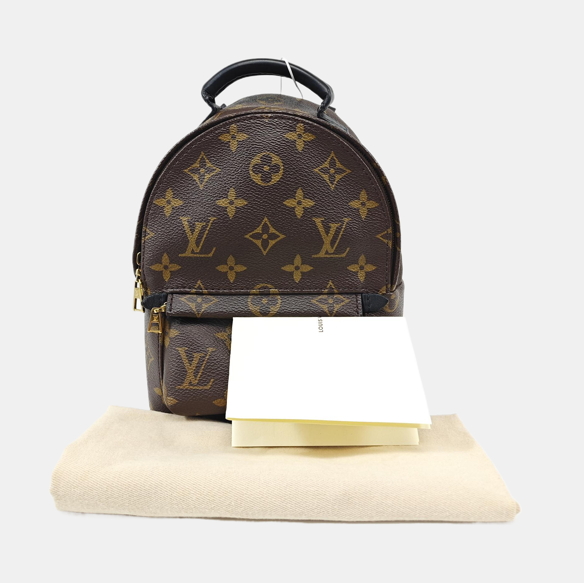 PALM SPRINGS Mini Monogram Coated Canvas Brown