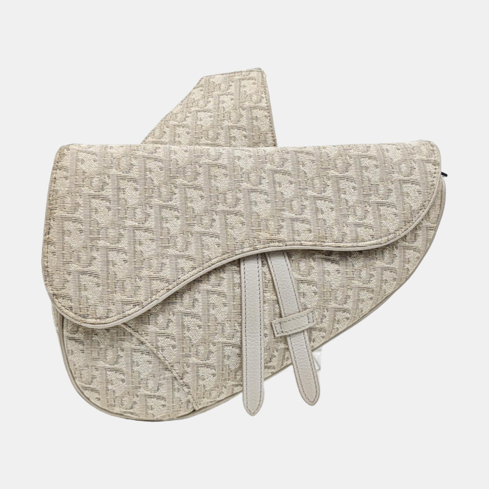 Saddle Medium Canvas Beige