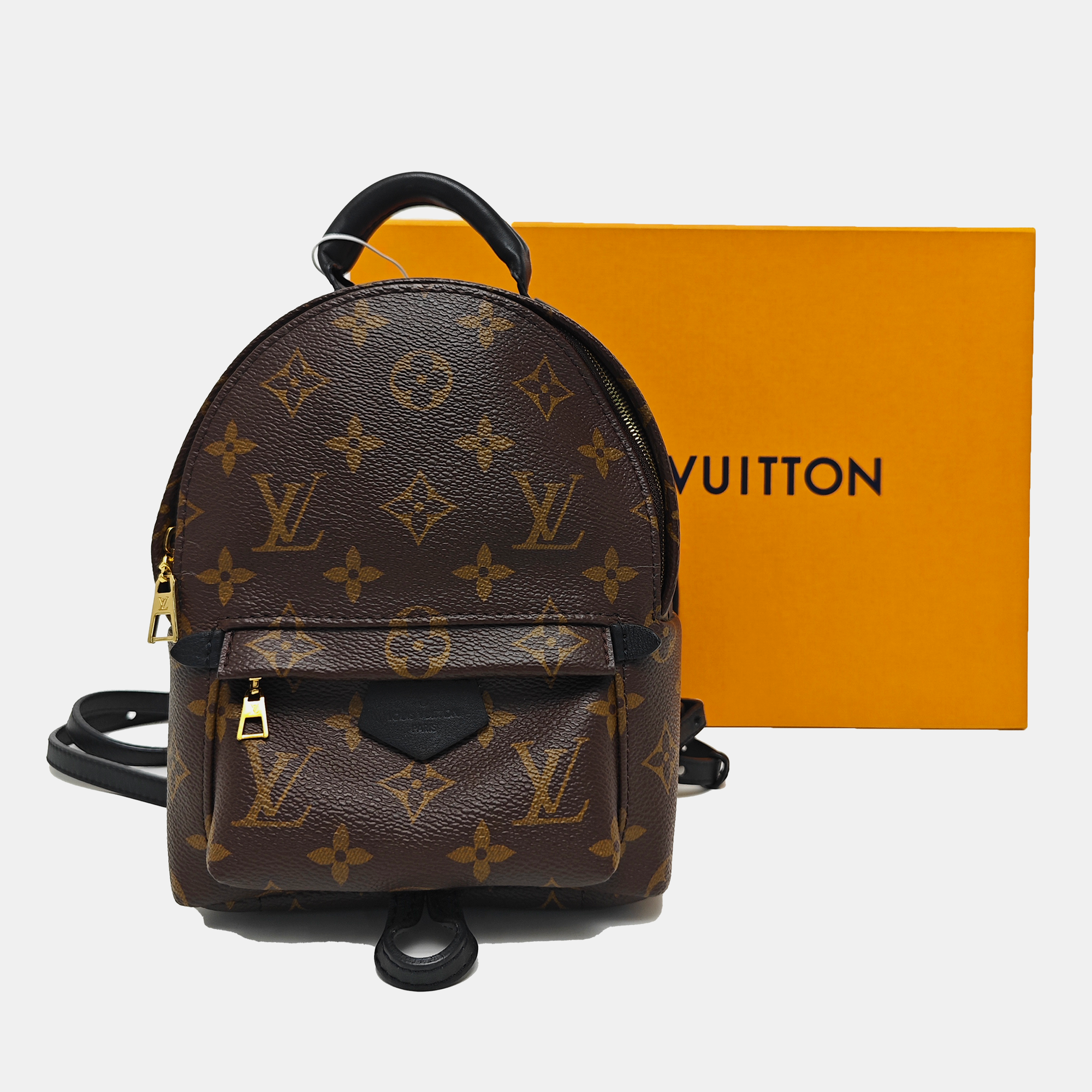 PALM SPRINGS Mini Monogram Coated Canvas Brown