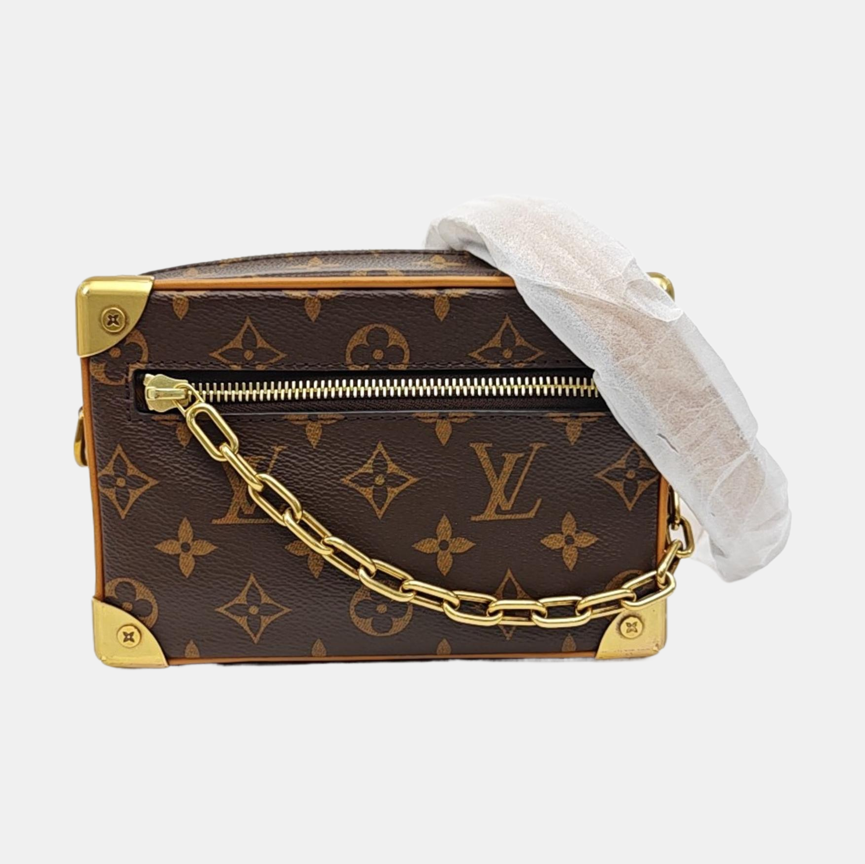 SOFT TRUNK Mini Monogram Coated Canvas Brown