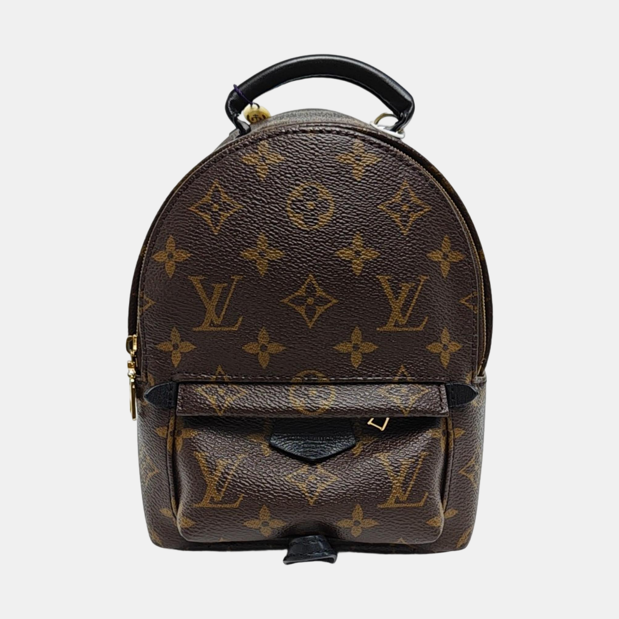 PALM SPRINGS Mini Monogram Coated Canvas Brown