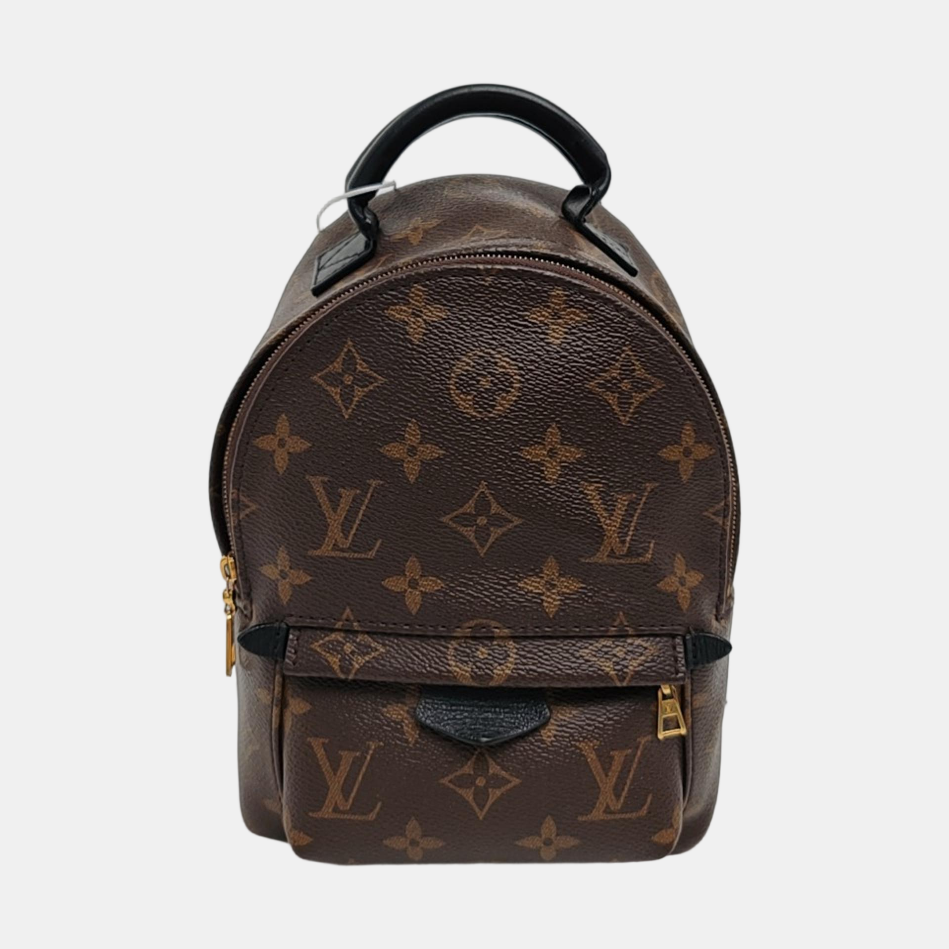 PALM SPRINGS Mini Monogram Coated Canvas Brown