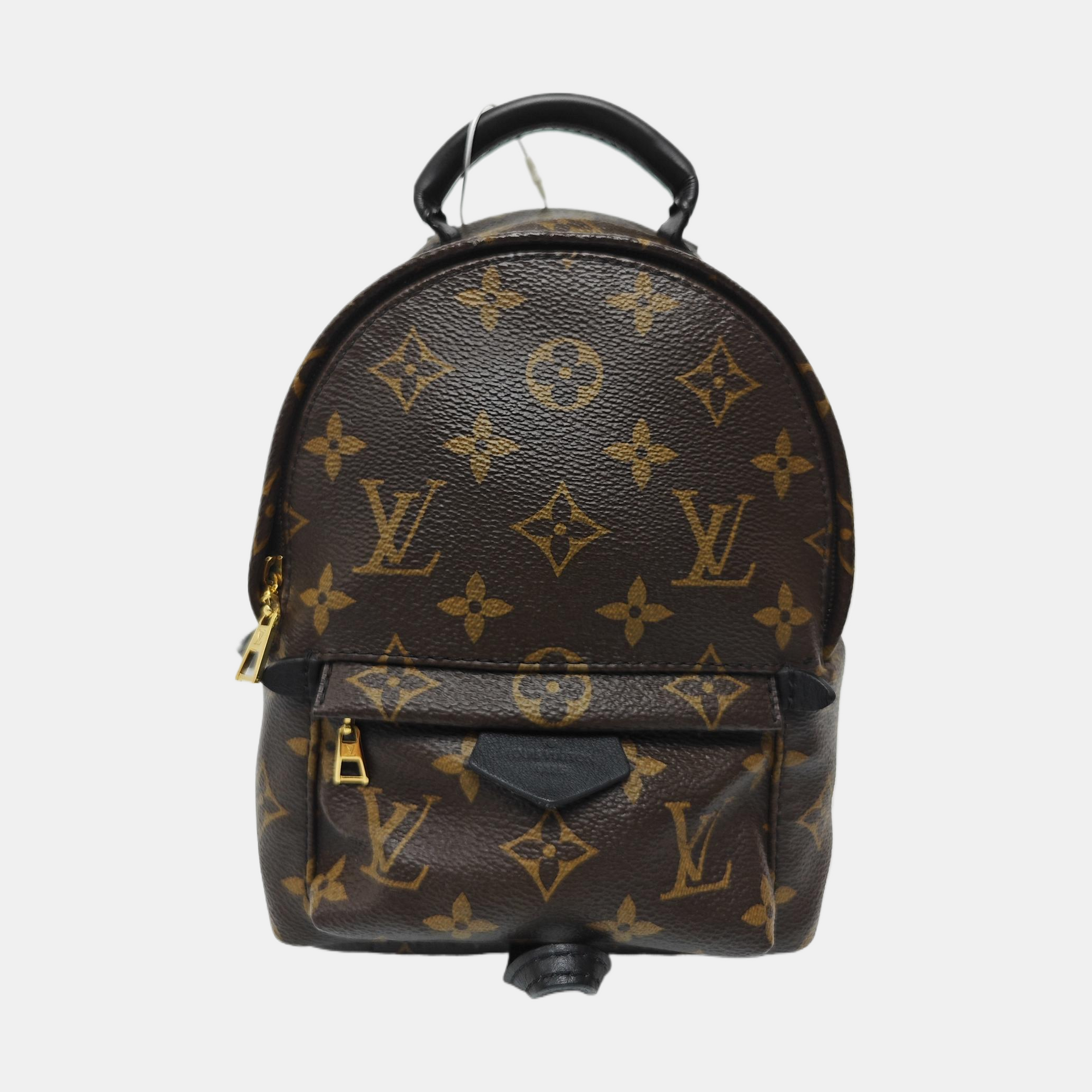 PALM SPRINGS Mini Monogram Coated Canvas Brown