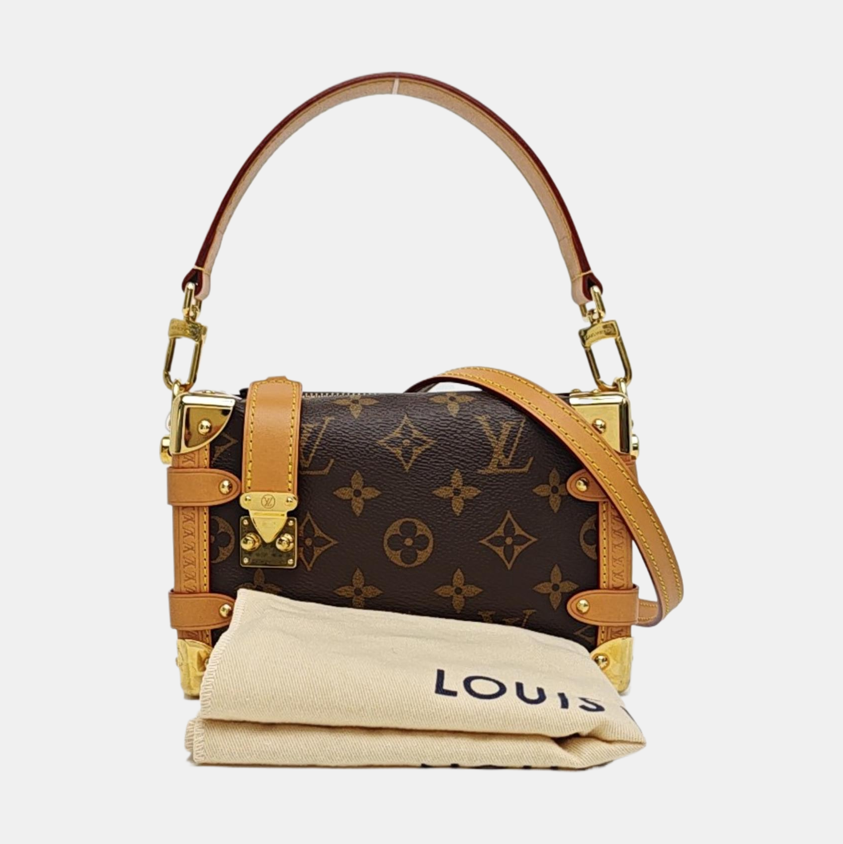 SIDE TRUNK PM Monogram Coated Canvas Brown