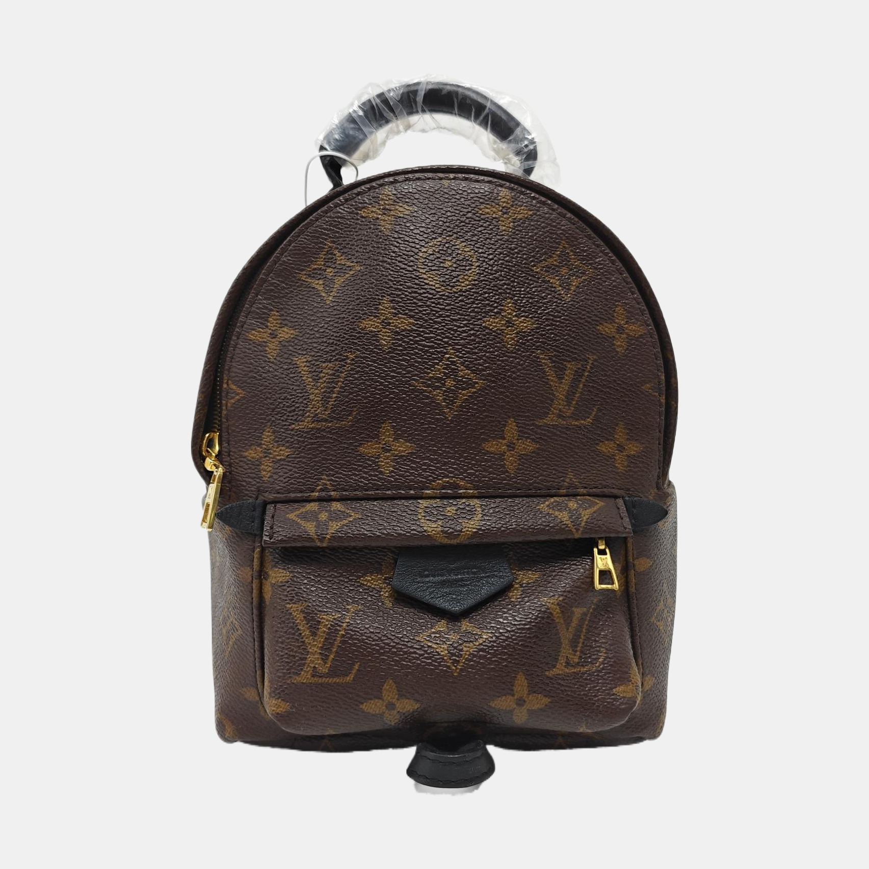 PALM SPRINGS Mini Monogram Coated Canvas Brown