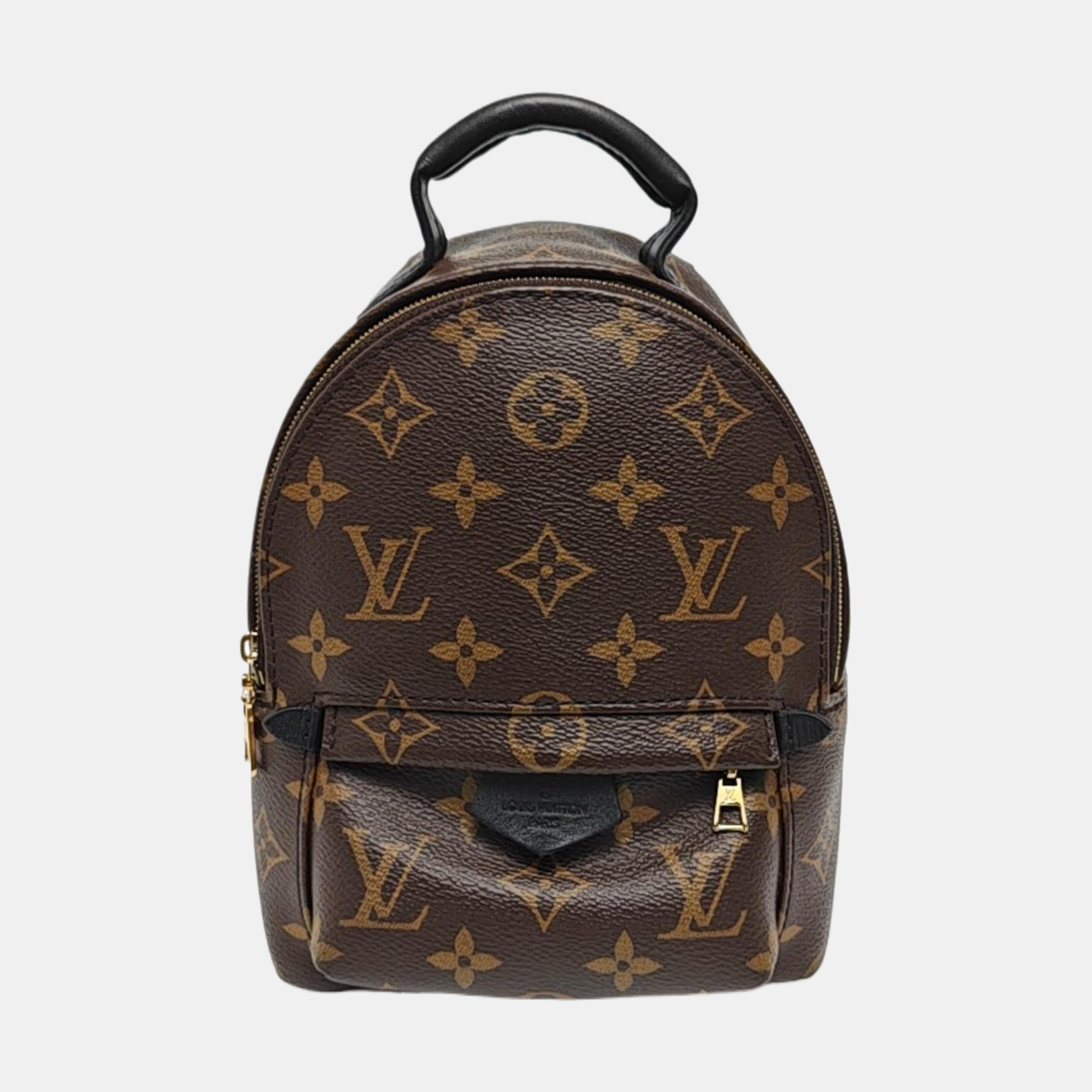 PALM SPRINGS Mini Monogram Coated Canvas Brown