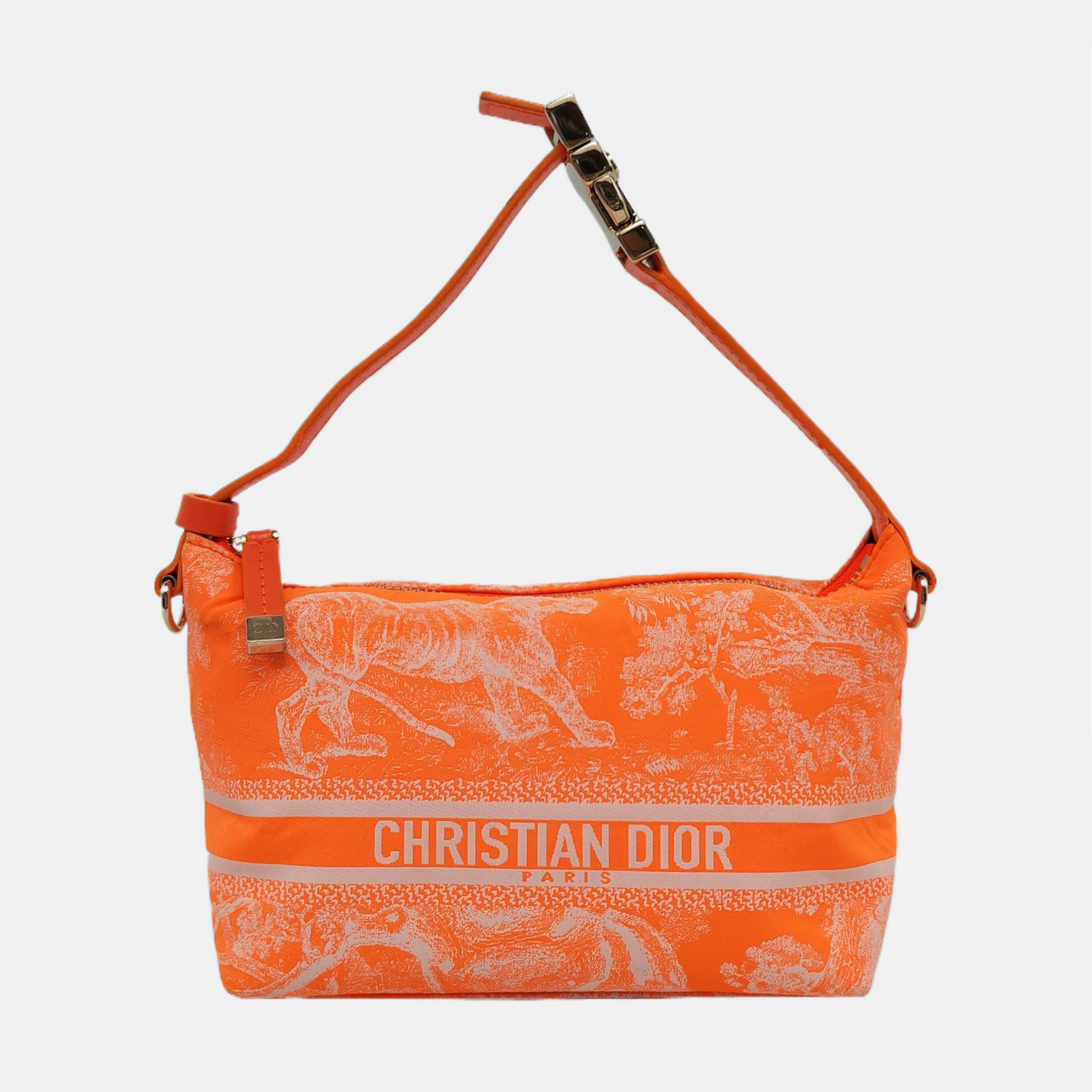 Diortravel Nomad Fabric Orange