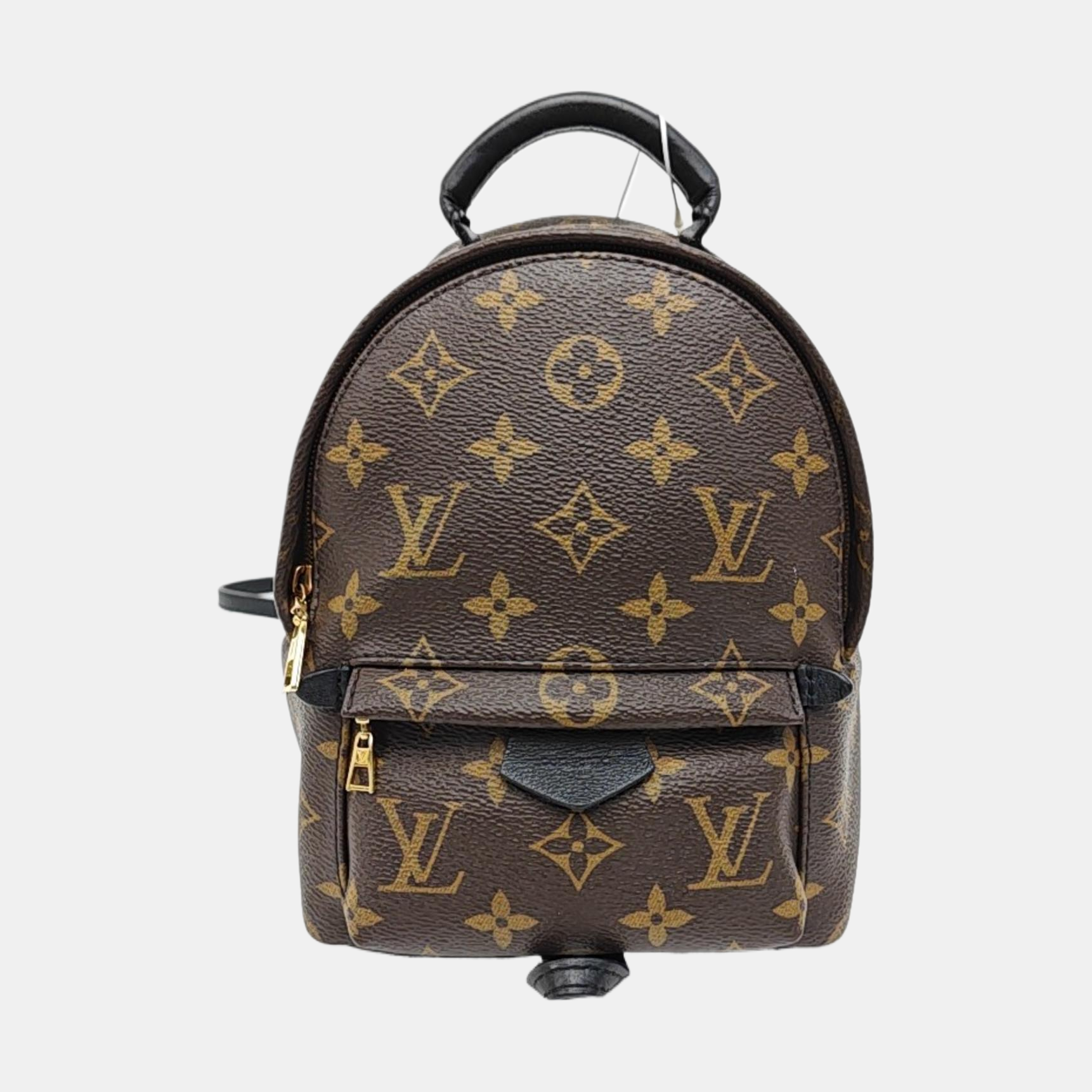 PALM SPRINGS Mini Monogram Coated Canvas Brown
