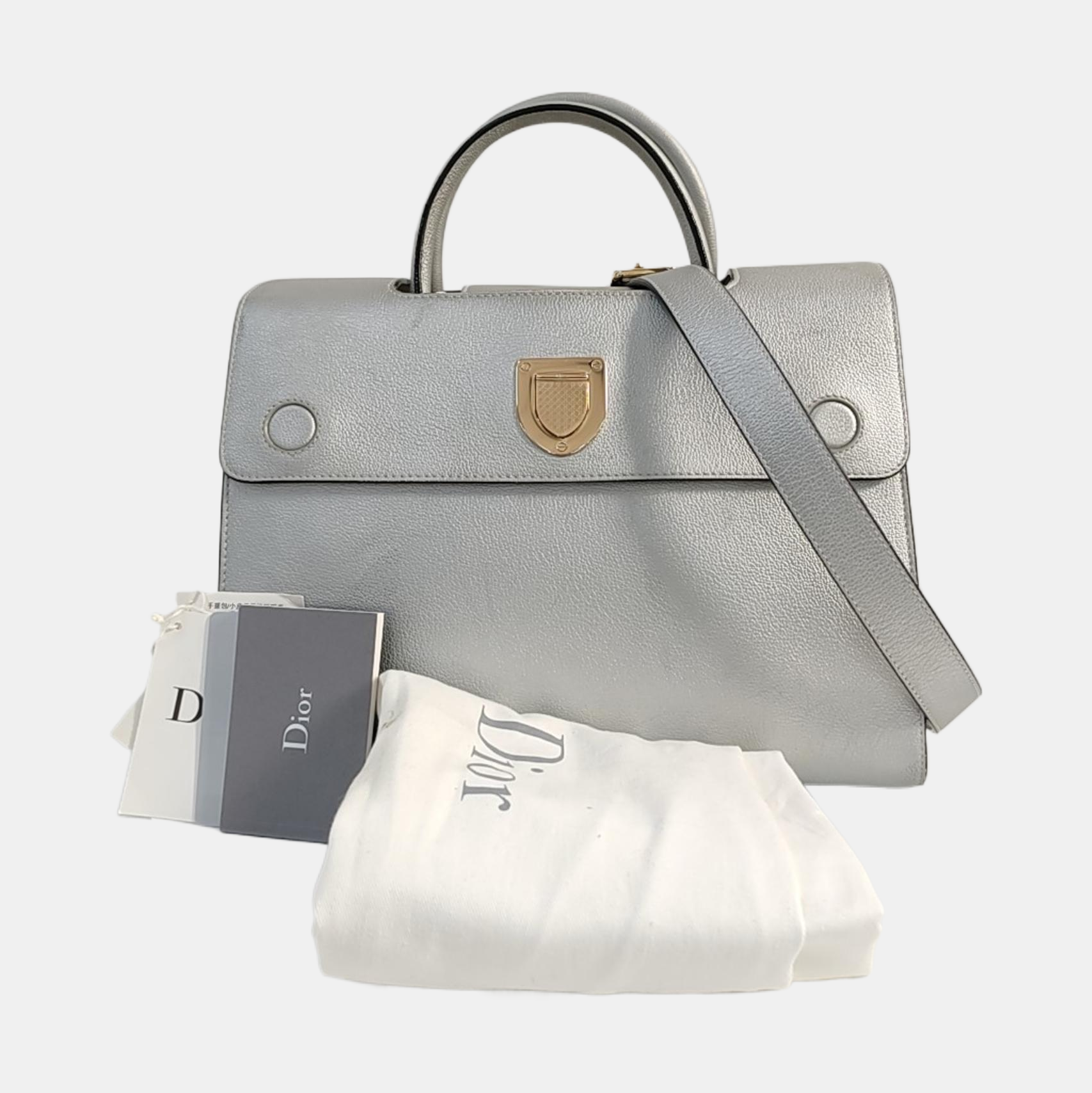 Diorever Calfskin Silver