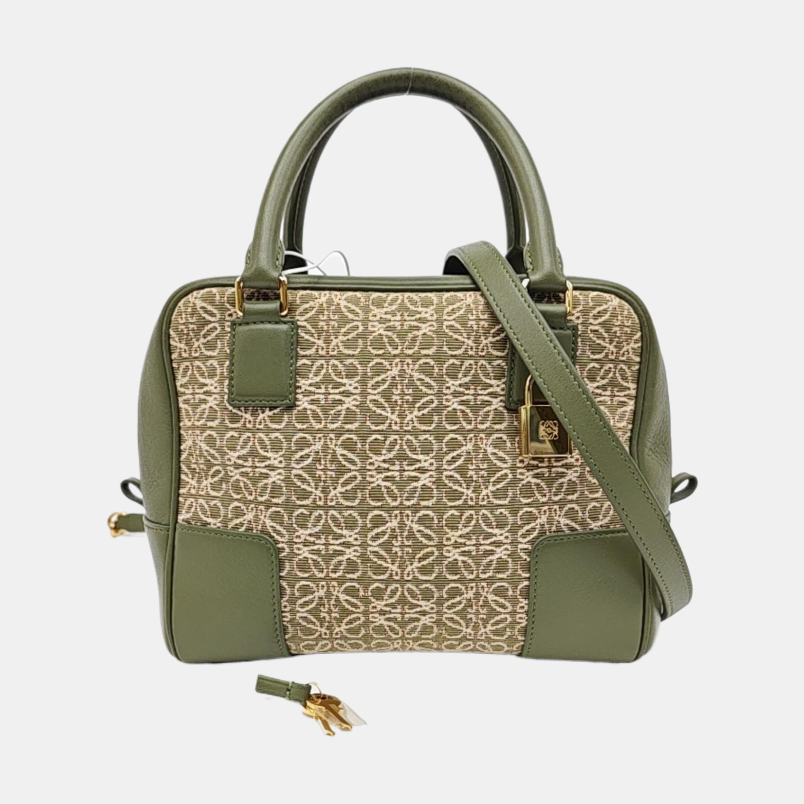 Amazona 19 Monogram Canvas Green